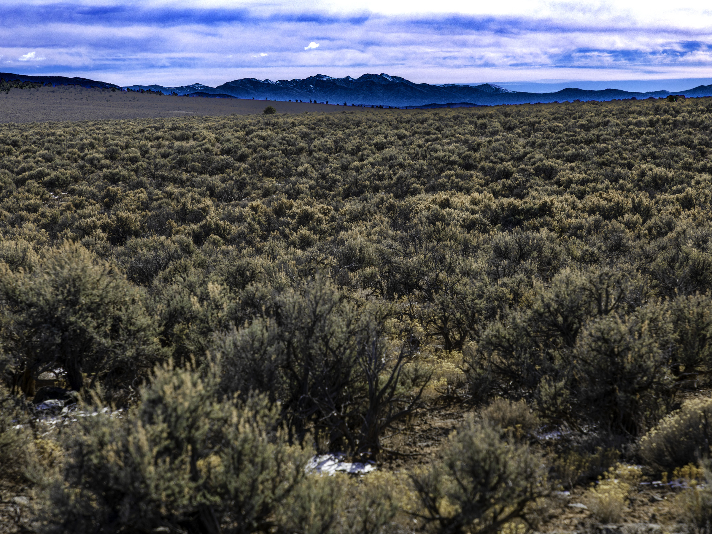 Upper Cielito Grande — Taos - Image 6